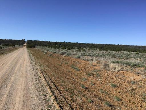 Large Level Property in Pine Meadows 1