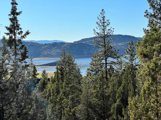 View of Lake Shastina 1