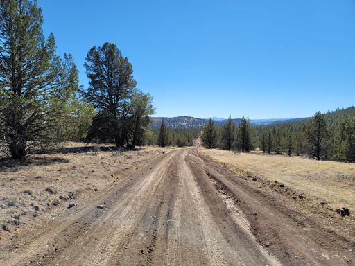 Near Modoc National Forest 1