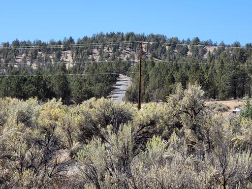 Seasonal Creek Runs Border 1