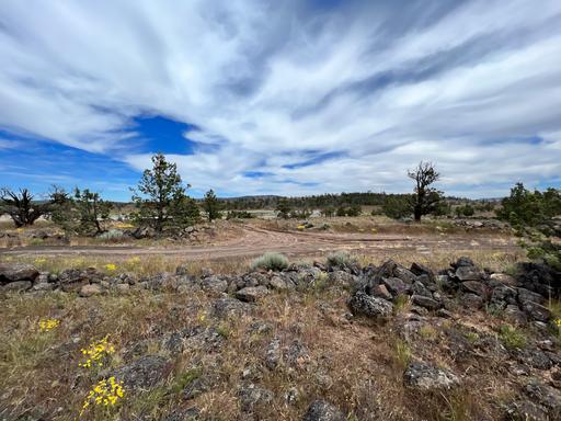 Great Views, Close to Mud Lake 1