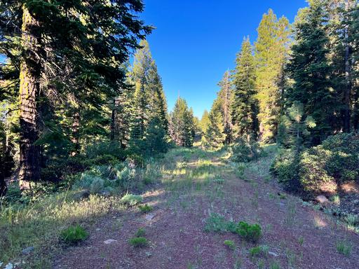 Great Property for Avid Outdoors 1