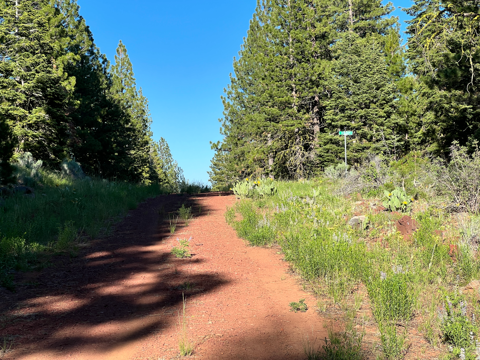 0.92 Acre Off-Grid Lot Near Modoc Forest & Lakes – Build or Camp ...