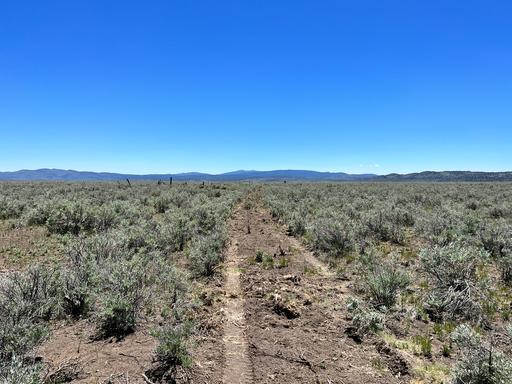 20 Acres, Great Views, Secluded Area 1