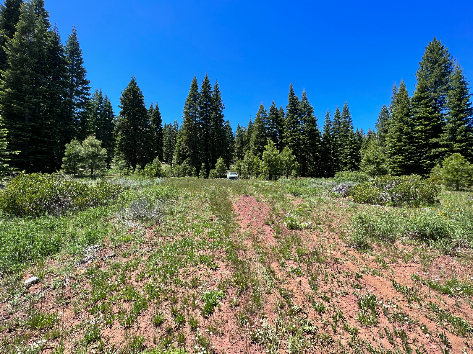 Affordable 0.97-Acre Open Lot in Modoc County, CA – Towering Pines ...