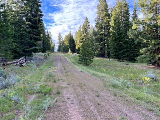 Quiet, Secluded Area 1