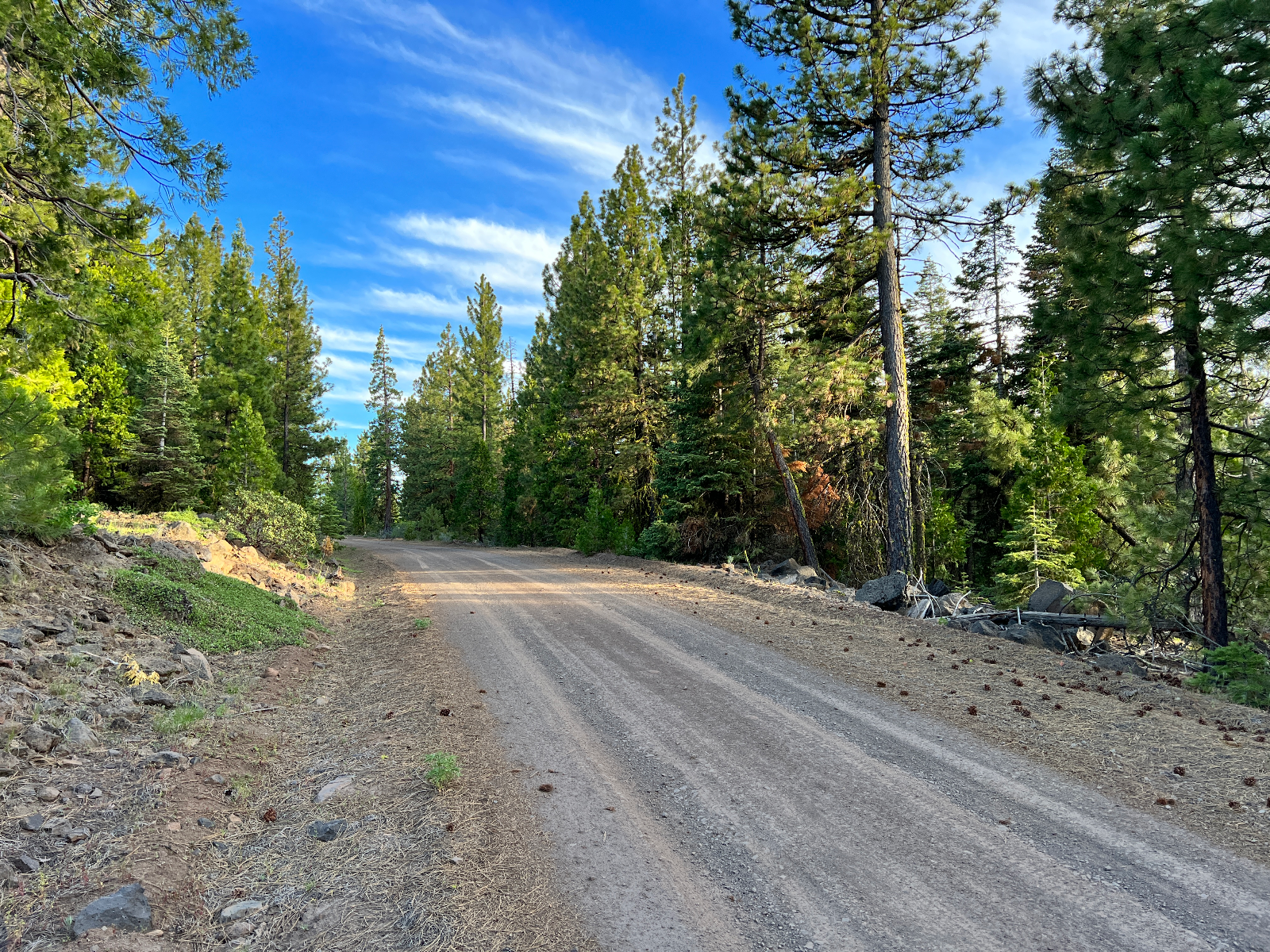 Wooded Land for Sale Modoc County CA | Smooth Road Acreage