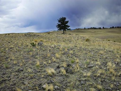 Secluded, Oversized Parcel in Quiet Area 1