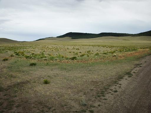 Corner Lot, Pastoral Setting 1