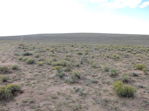 Wooded Land for Sale by Owner Near Fairplay, Colorado 1