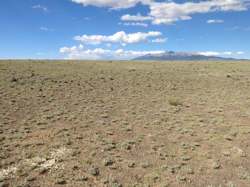 Expansive 120 Acre Property, 2 Lots Included 1