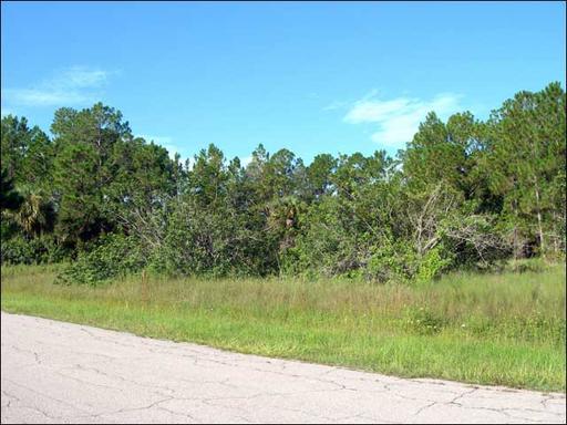 Beautiful Wooded Parcel 1