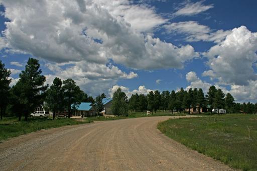 Beautiful Residential Property W/ Scattered Pines 1