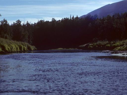One Lot Away from Derf Lake 1
