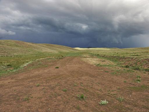 Oversized, Mostly Level Property 1