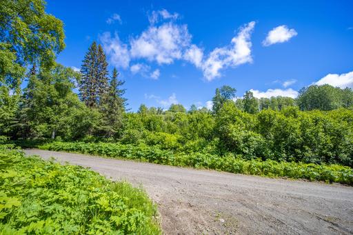 Perfect Kenai Cabin Site 1