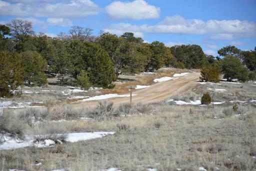 Open Range, Historical Area 1