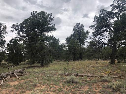 Great Horse Property 1