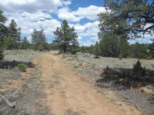 Oversized Property, Great Road Frontage 1
