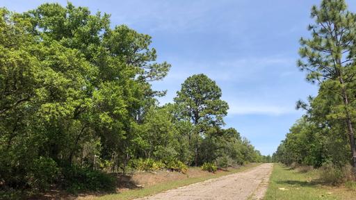 Oversized Residential Lot in Florida 1