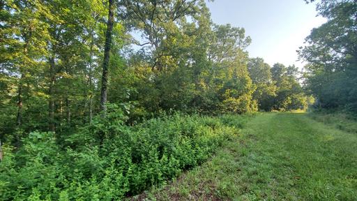 Near Lake of the Ozarks 1