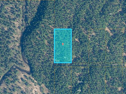 Close to Chunilna Creek and Talkeetna River 1