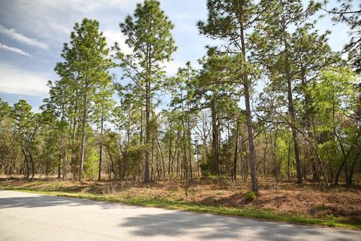 Paved Road and Near Power 1