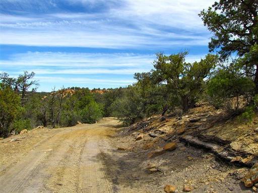 Wooded Property, Quiet Area 1