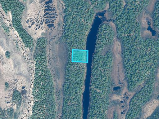 Walking Distance to Nine Mile Creek 1