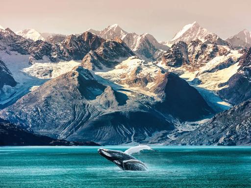 Amazing Fishing and Hunting 1