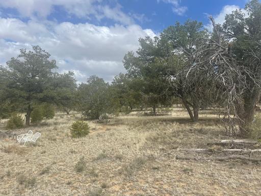 Vacant Land for Sale with Scenic Views – Great for Hiking, Fishing, and More 1