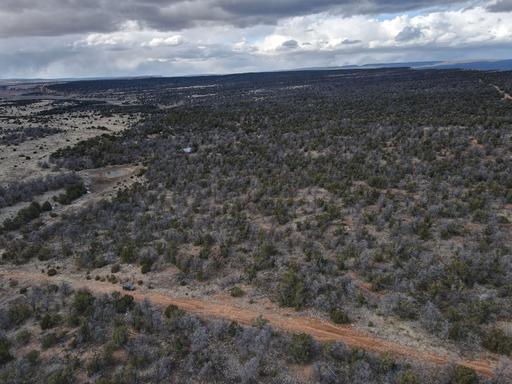 Quiet and Secluded, Pinon Pines and Meadows 1