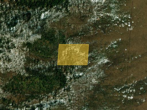 Alaska Land for Sale, 4.04 Acres, Into the Wild 1