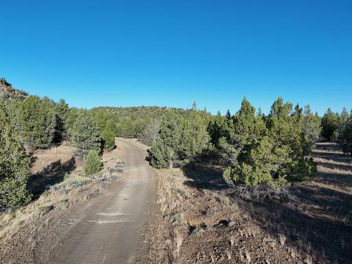 Wooded California Land for Sale, 67.75 Acres, County Maintained Road 1