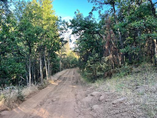 Wooded Property on Dirt Road near Oregon Border 1