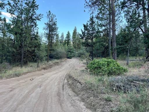 Mostly Wood Property in Quiet Corner of Subdivision 1