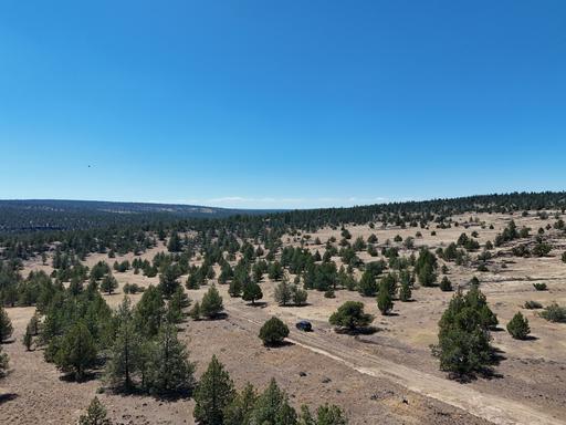 Mostly Level Property near Alturas 1