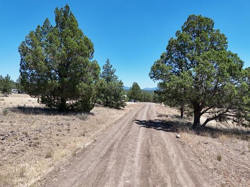 Level Property, Dirt Road 1