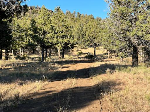 Large Rectangle Plot, Scattered Trees Throughout 1