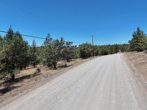 Tree Covered, Gentle Slope Valley Views 1