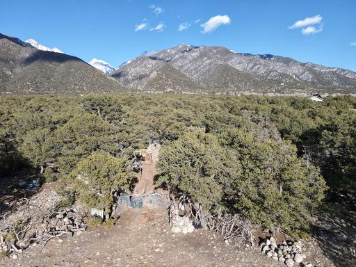 Rock Garden with Low Lying Trees 1