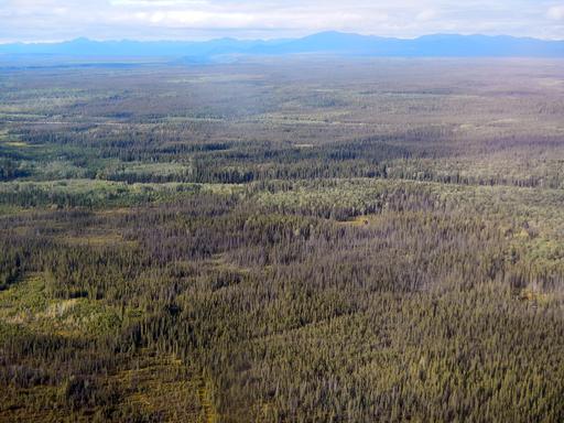 Alaska Tazlina SW Wooded Lot 1