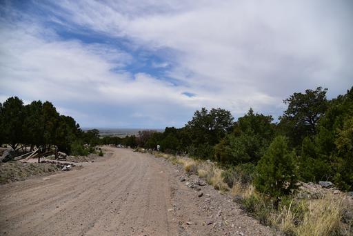 Nice Treed Property in Great Community 1