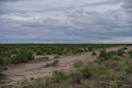 Over 37 Acres near Moffat CO 1