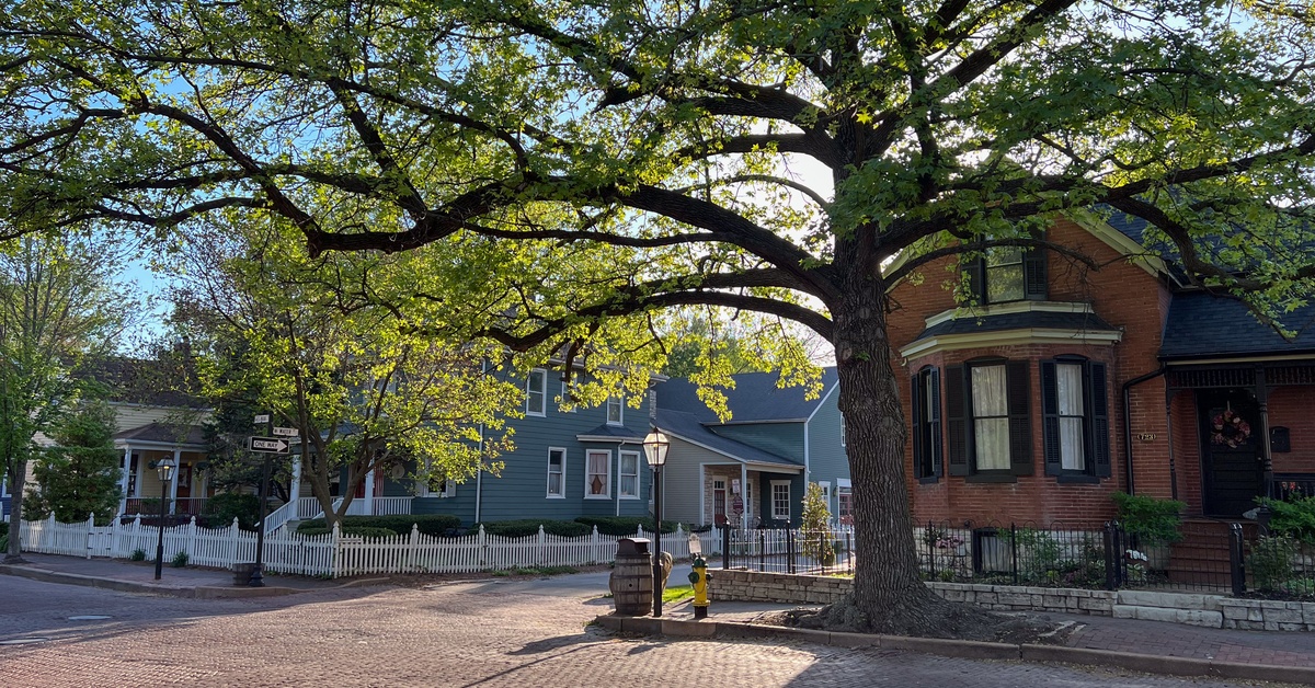 A large tree in front of two rustic houses. The houses are along a red brick road that cuts in between them.