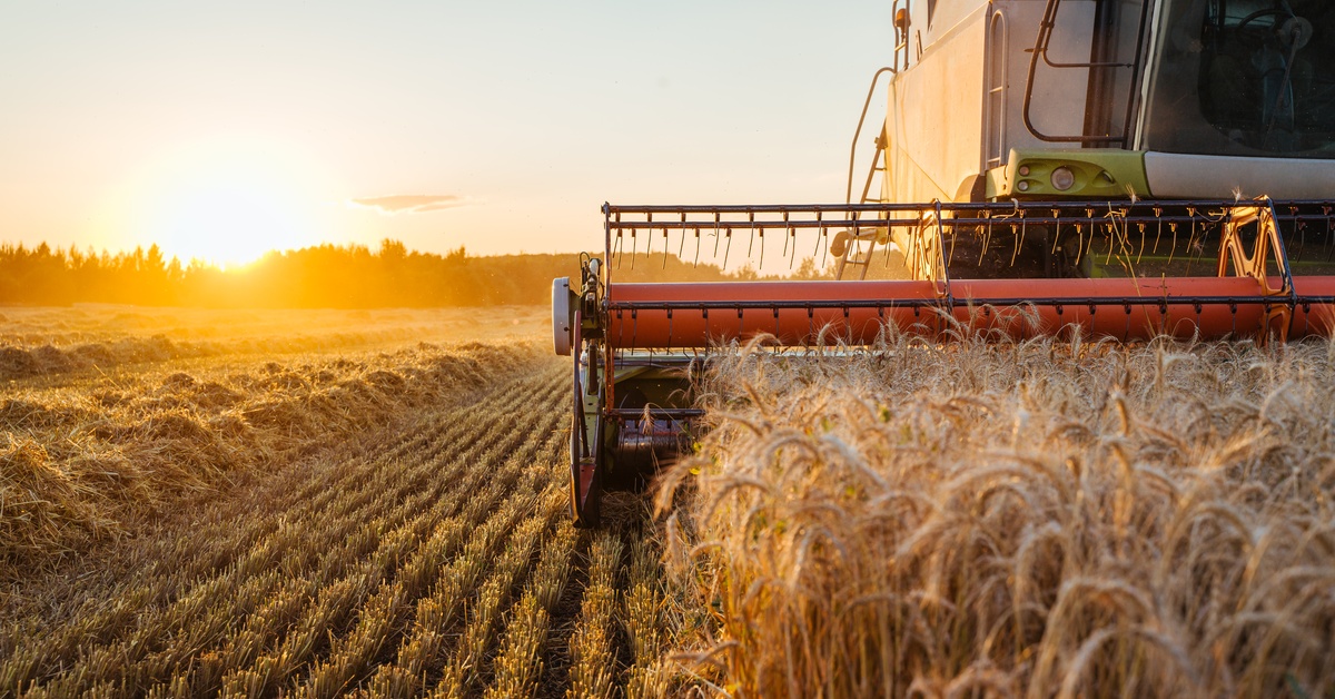 LandLimited-399681-Combine-Harvester-Wheat-imageB1