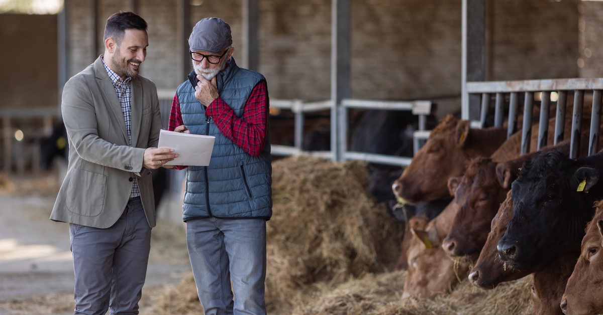 A farmer and businessman are looking over some documents. There are multiple cows next to the both of them.