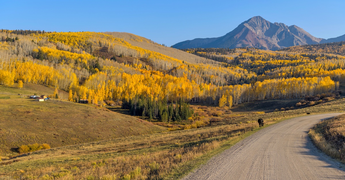 A dirt road curving off to the right next to a large hill. The hill is covered in tall, yellow grass and trees.