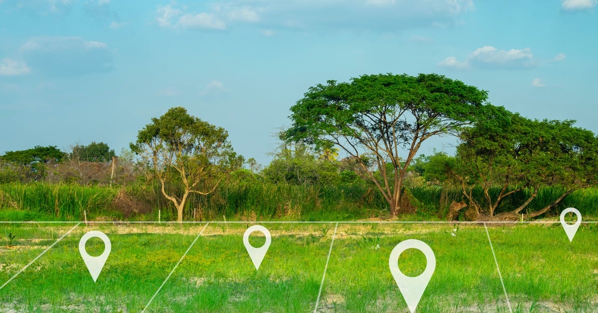An array of grassy land plots that are outlined by white lines. Each plot has a GPS marker in the center of it.