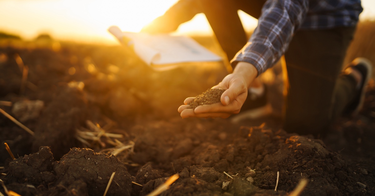 A farmer uses their hand to pull up a sample of dirt from the ground. He's holding a clipboard in his other hand.